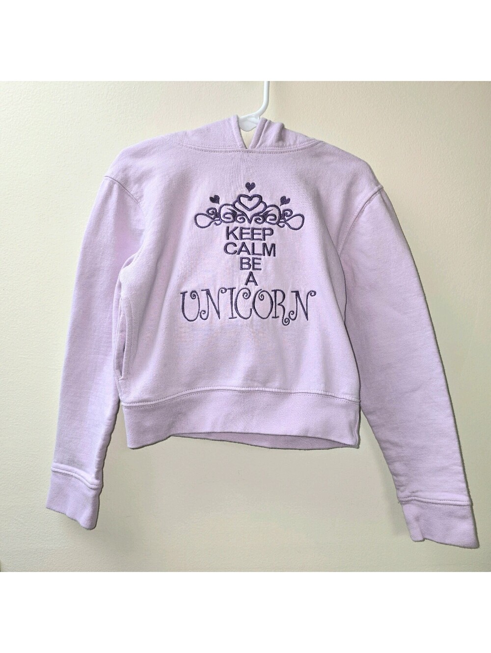 Wild Child Hoodies Unicorn Pullover Hoodie Toddler 2T Lavender 3D Horn Vguc